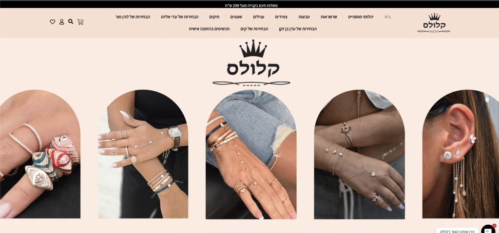 ניהול אתר תכשיטים, אתר מכירות